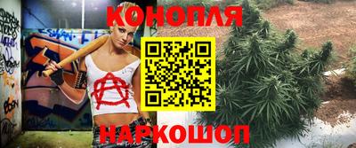 синтетический гашиш Будённовск