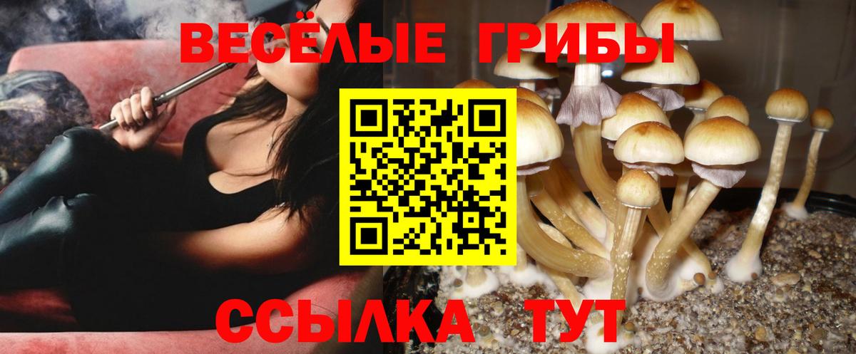 Саки  Псилоцибиновые грибы мухоморы  Вход с VPN 