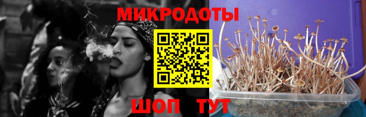 Псилоцибиновые грибы мицелий Саки